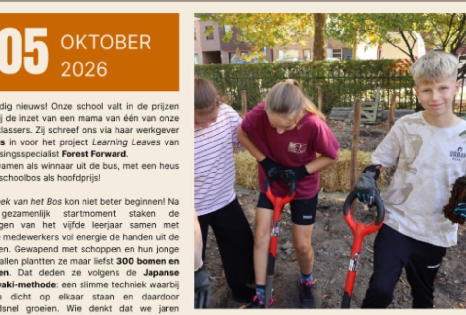 Misstraat Bos