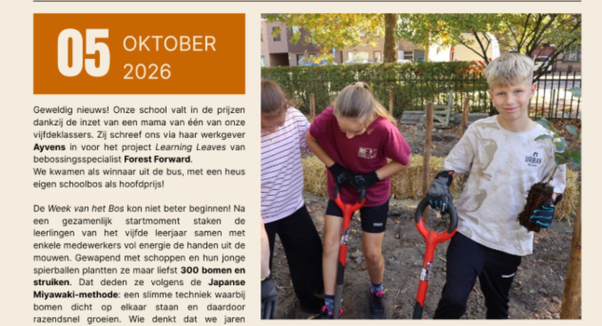 Misstraat Bos
